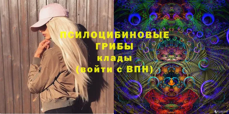 Галлюциногенные грибы Cubensis  Карабулак 